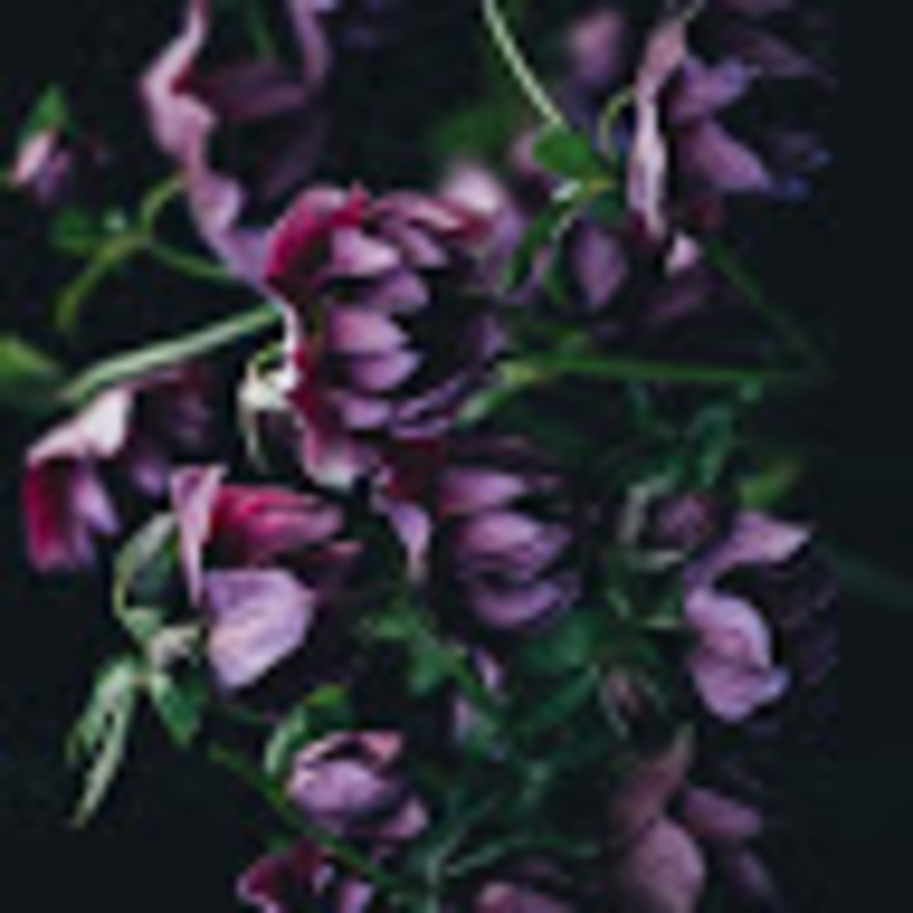 Meet your Posher, Aditi